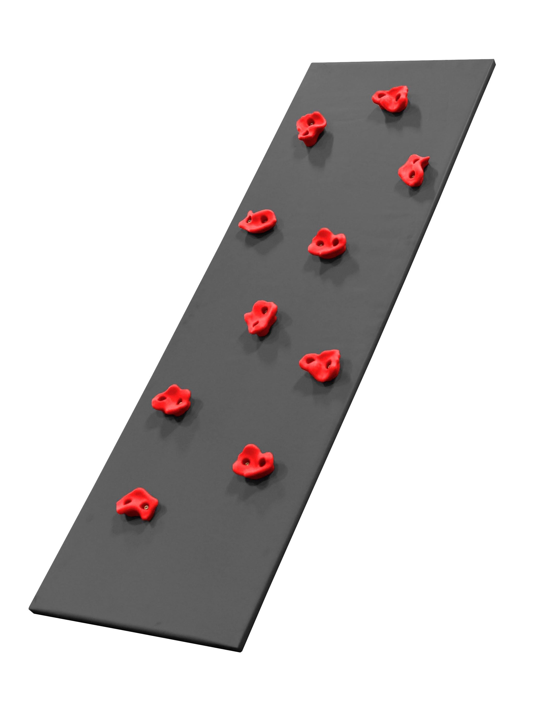 ELITE KIDS CLIMBING WALL