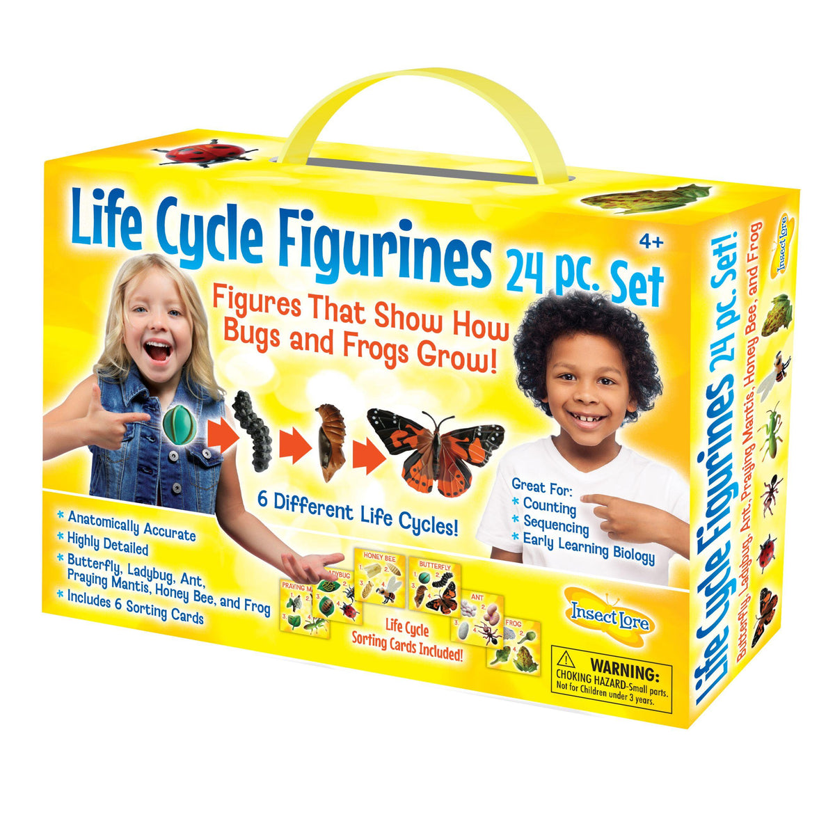LIFE CYCLE STATES COMPLETE SET