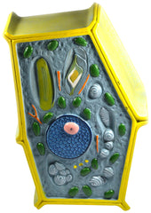 MODEL PLANT CELL ENLARGED