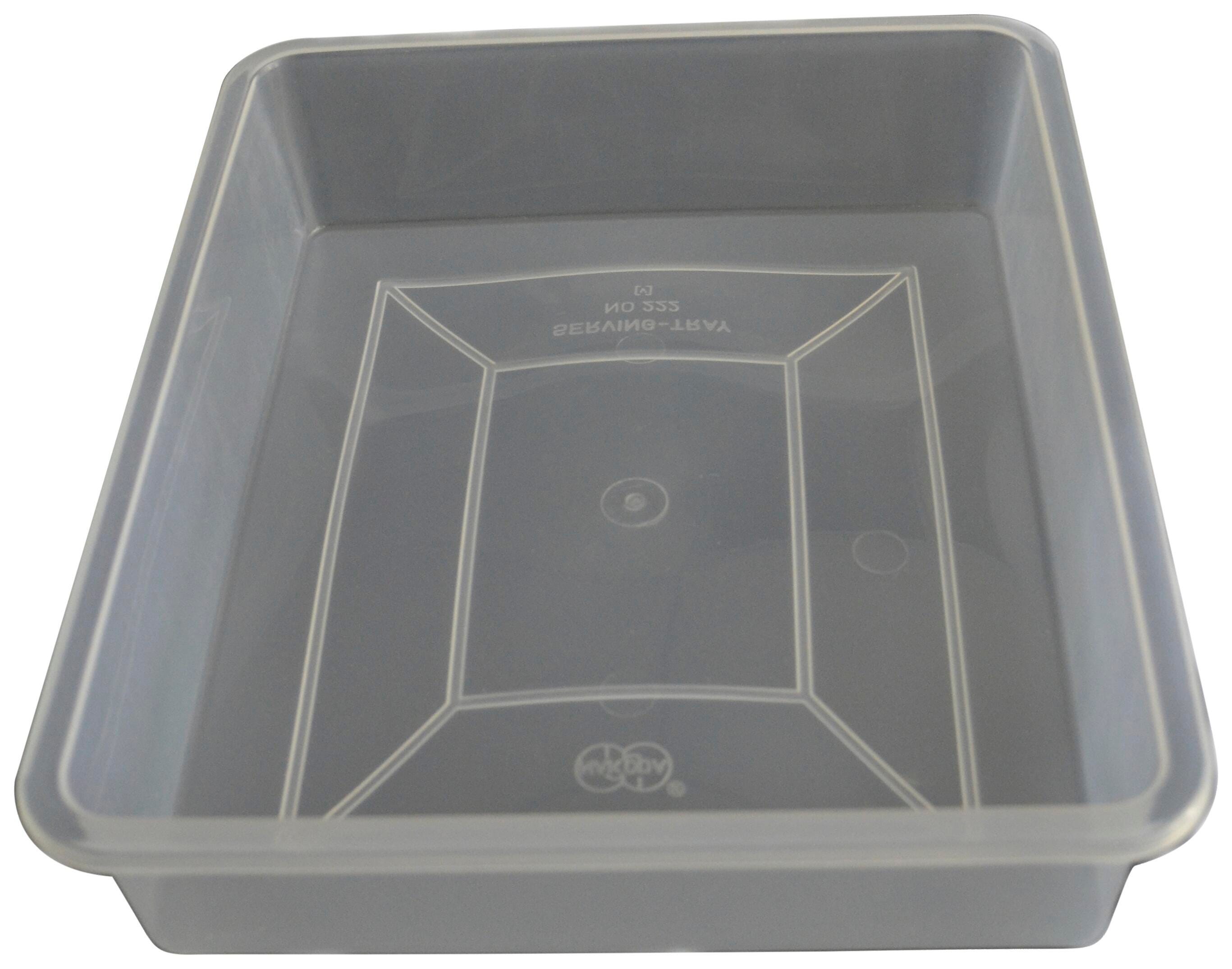 TRAY DISSECTION PLASTIC