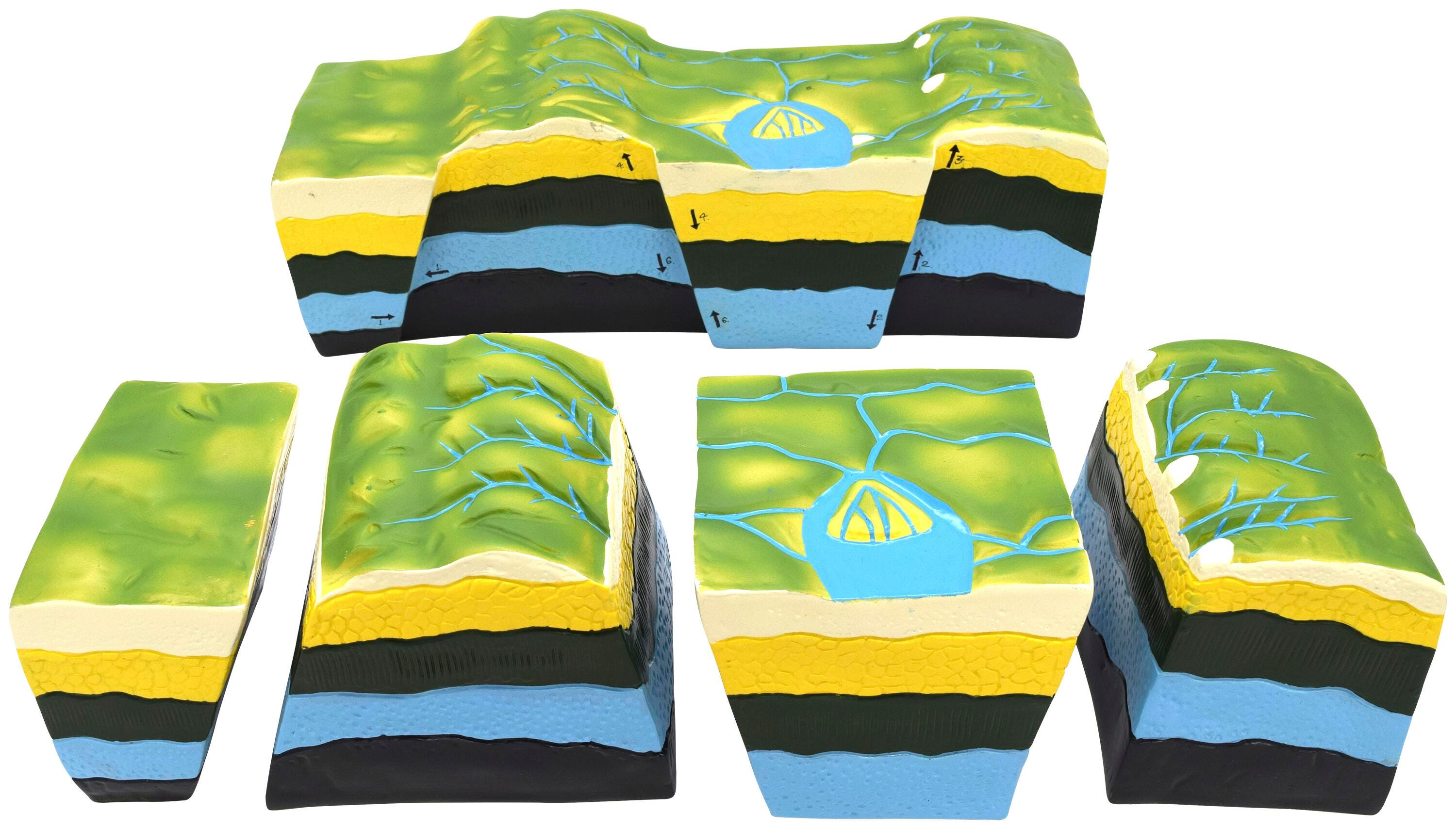 MODEL FACT AND FAULTS