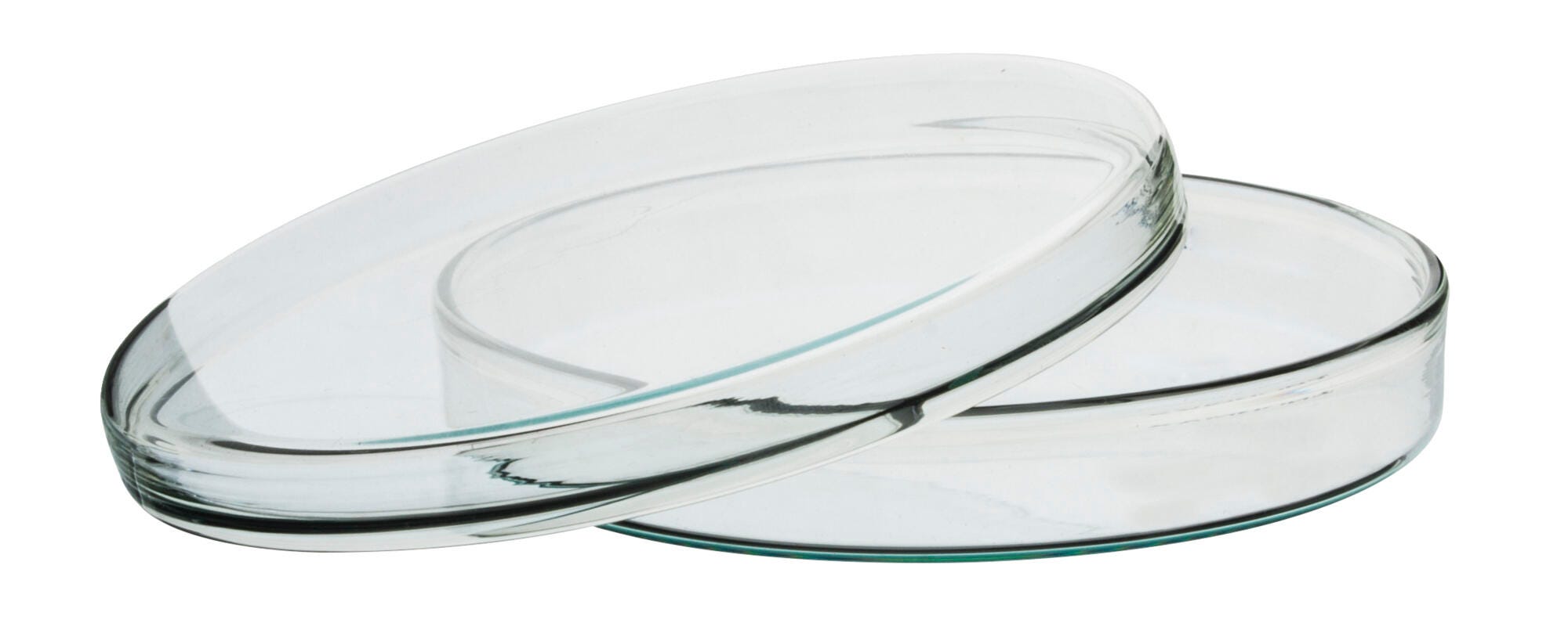 DISH PETRI BOROSILICATE GLASS 150MM