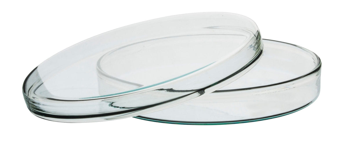 DISH PETRI BOROSILICATE GLASS 150MM