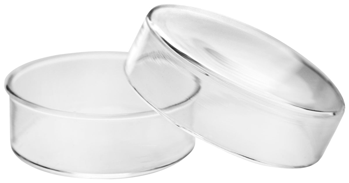 DISH PETRI BOROSILICATE GLASS 50MM