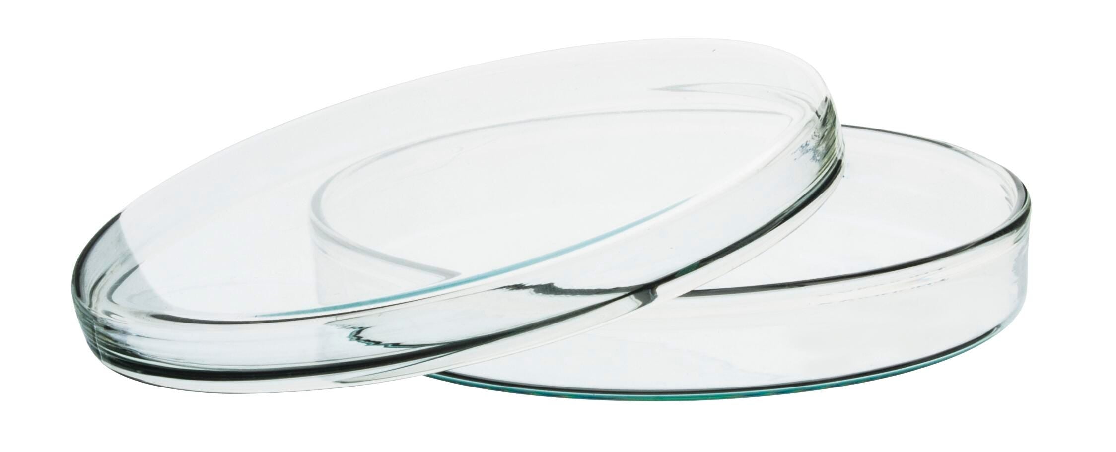 DISH PETRI BOROSILICATE GLASS 100MM