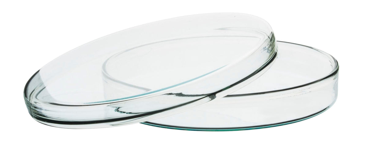 DISH PETRI BOROSILICATE GLASS 100MM