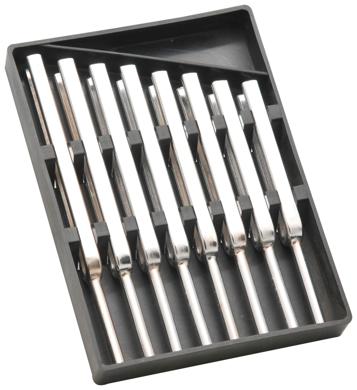 SET TUNING FORK PLASTIC CASE