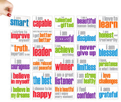 MAGNET - SET OF 30 1 EA 2 X 3.5 IN