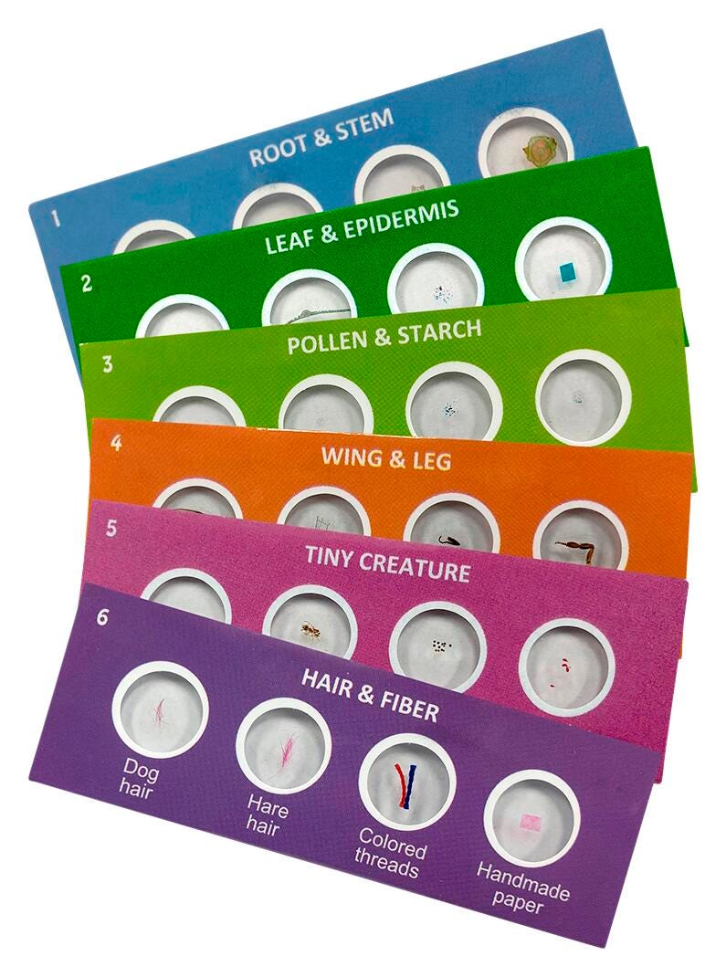 SLIDES PREPARED SCOUT MICROSCOPE S/6