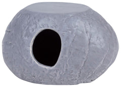 HUT CICHLID SPAWNING