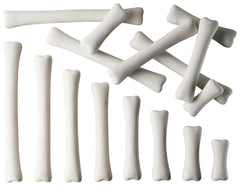 MEASURE - DINOSAUR MEASURE BONES S/16