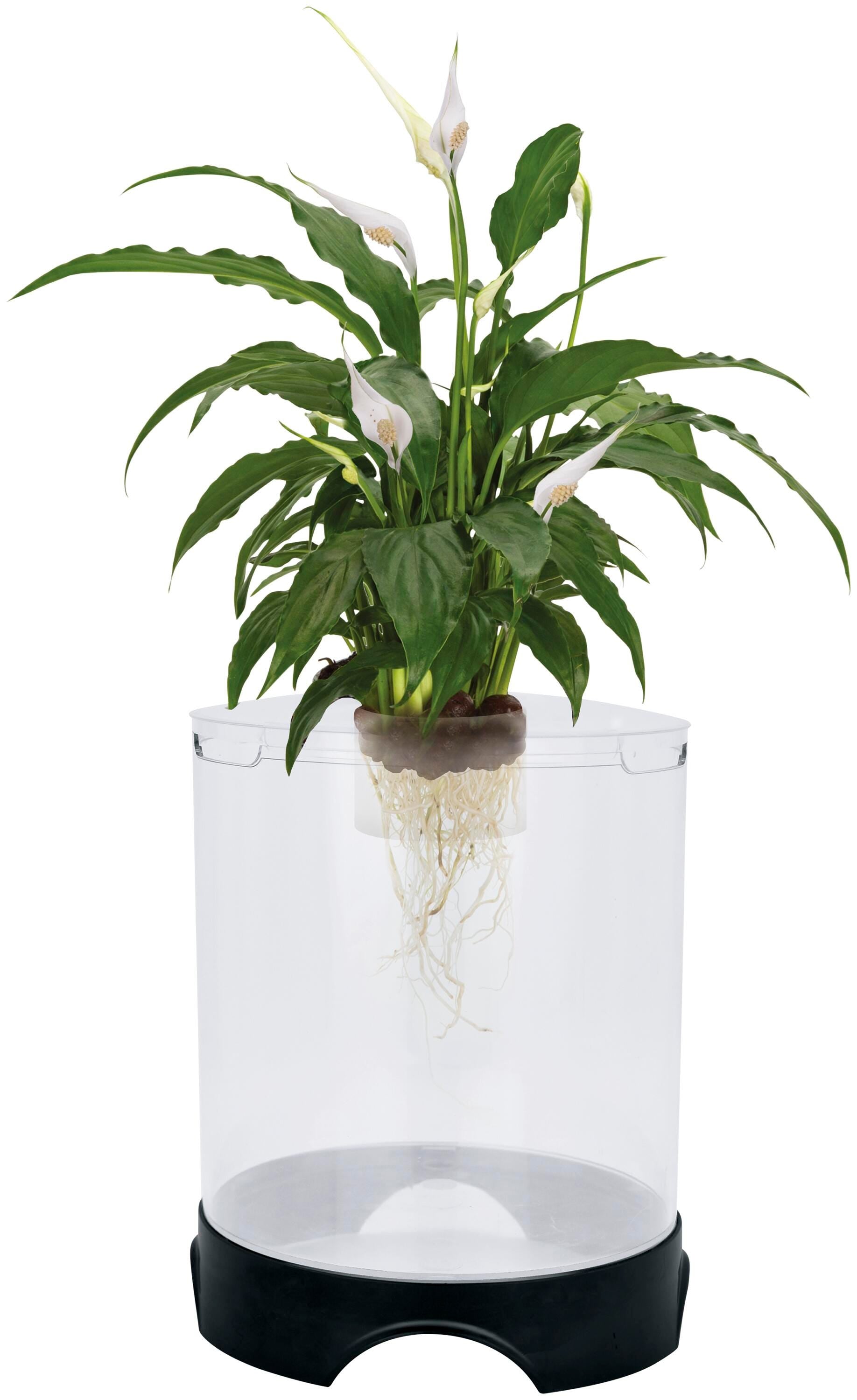 HABITAT FISH + AQUAPONIC PLANTER