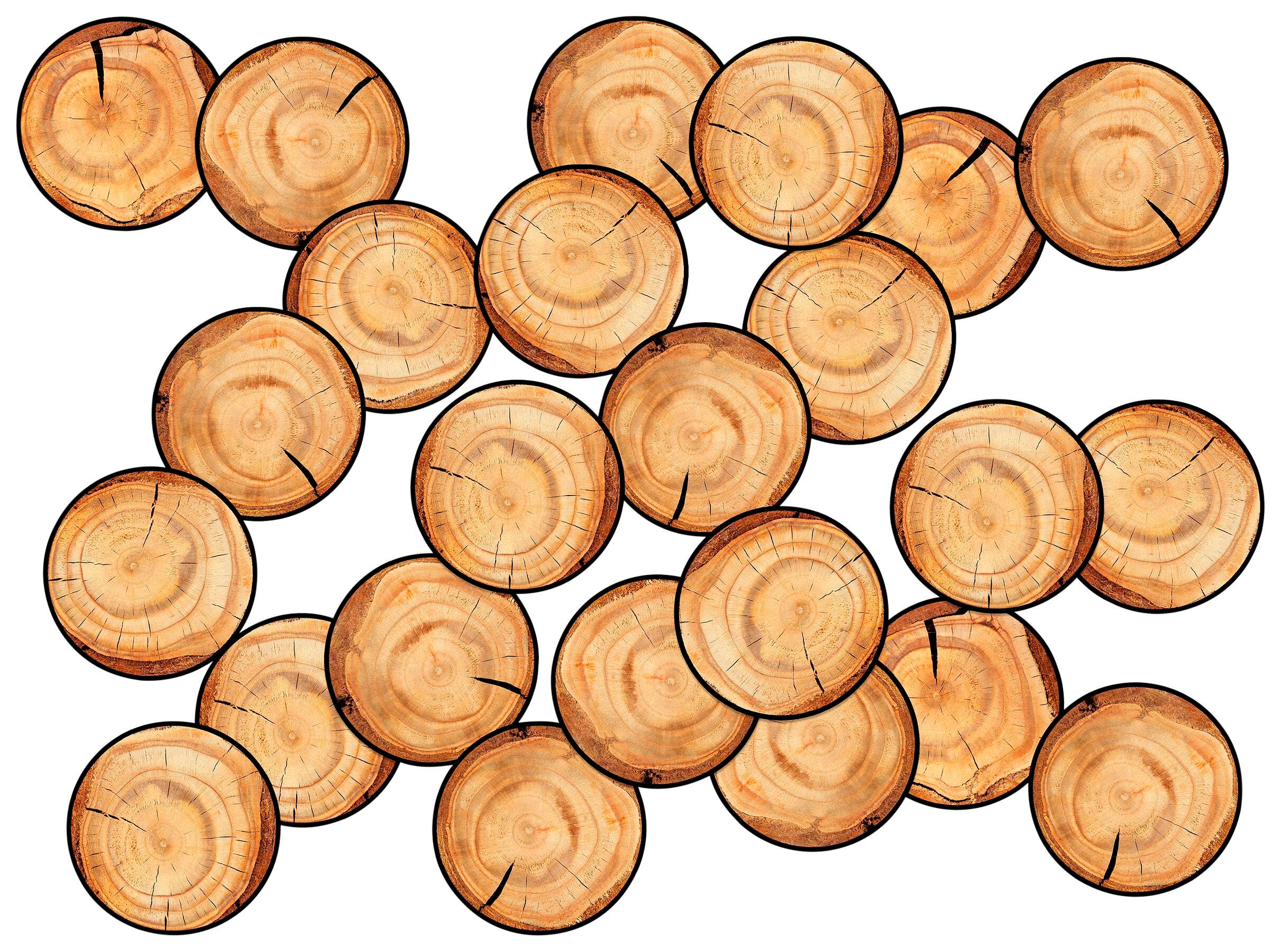 CHILDCRAFT SEATING STUMP ROUNDS - 16 IN X 16 IN - SET OF 24