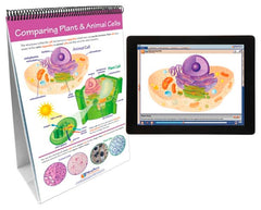 FLIP CHART + ONLINE ALL ABOUT CELLS MS/HS