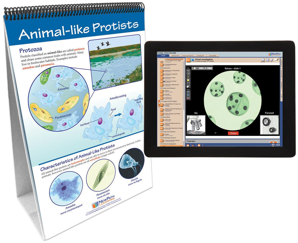 FLIP CHART + ONLINE PROTISTS MS/HS