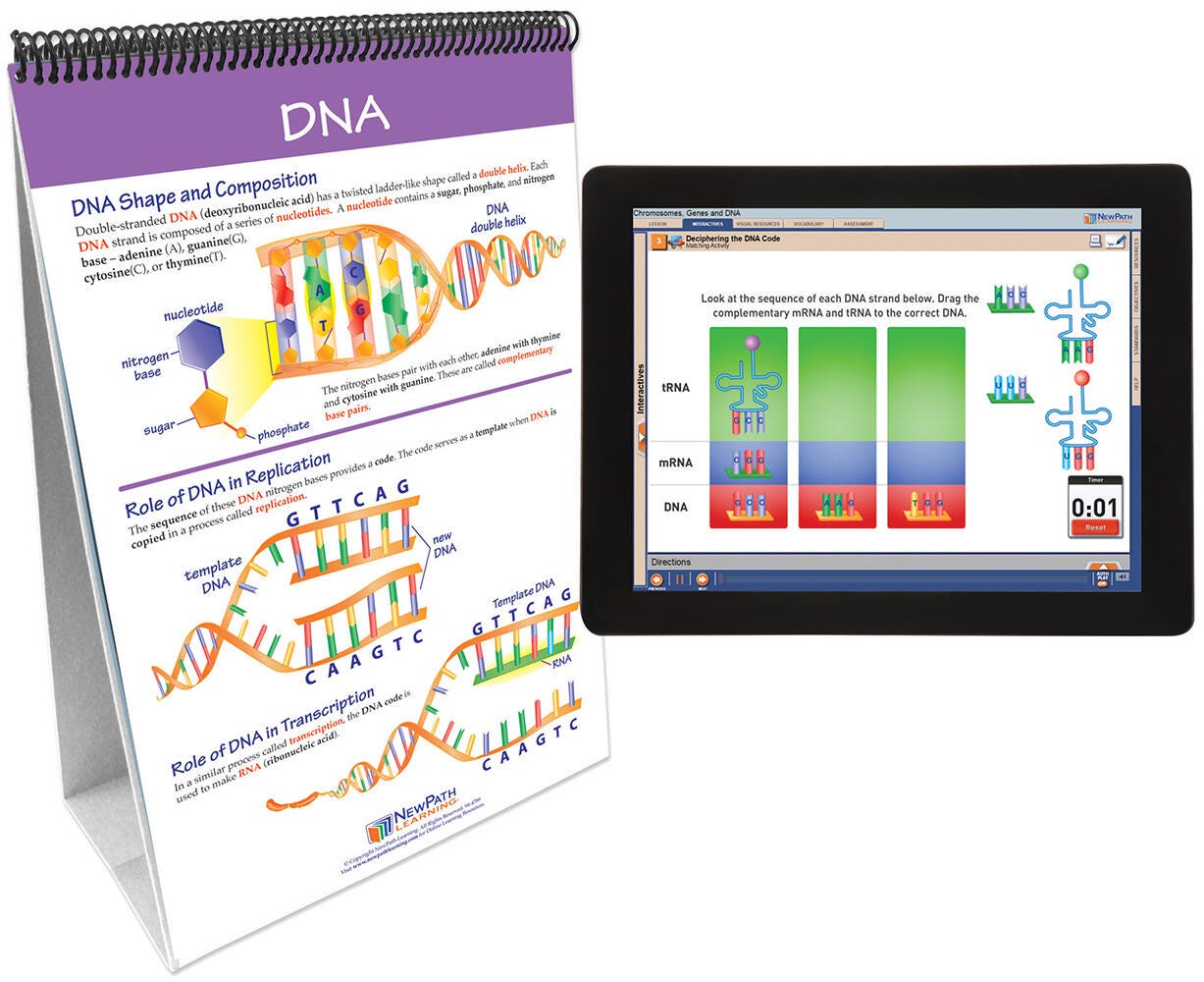 FLIP CHART + ONLINE CHROMOSOMES GENES + DNA MS/HS