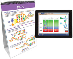 FLIP CHART + ONLINE CHROMOSOMES GENES + DNA MS/HS