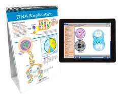 FLIP CHART + ONLINE MITOSIS MS/HS