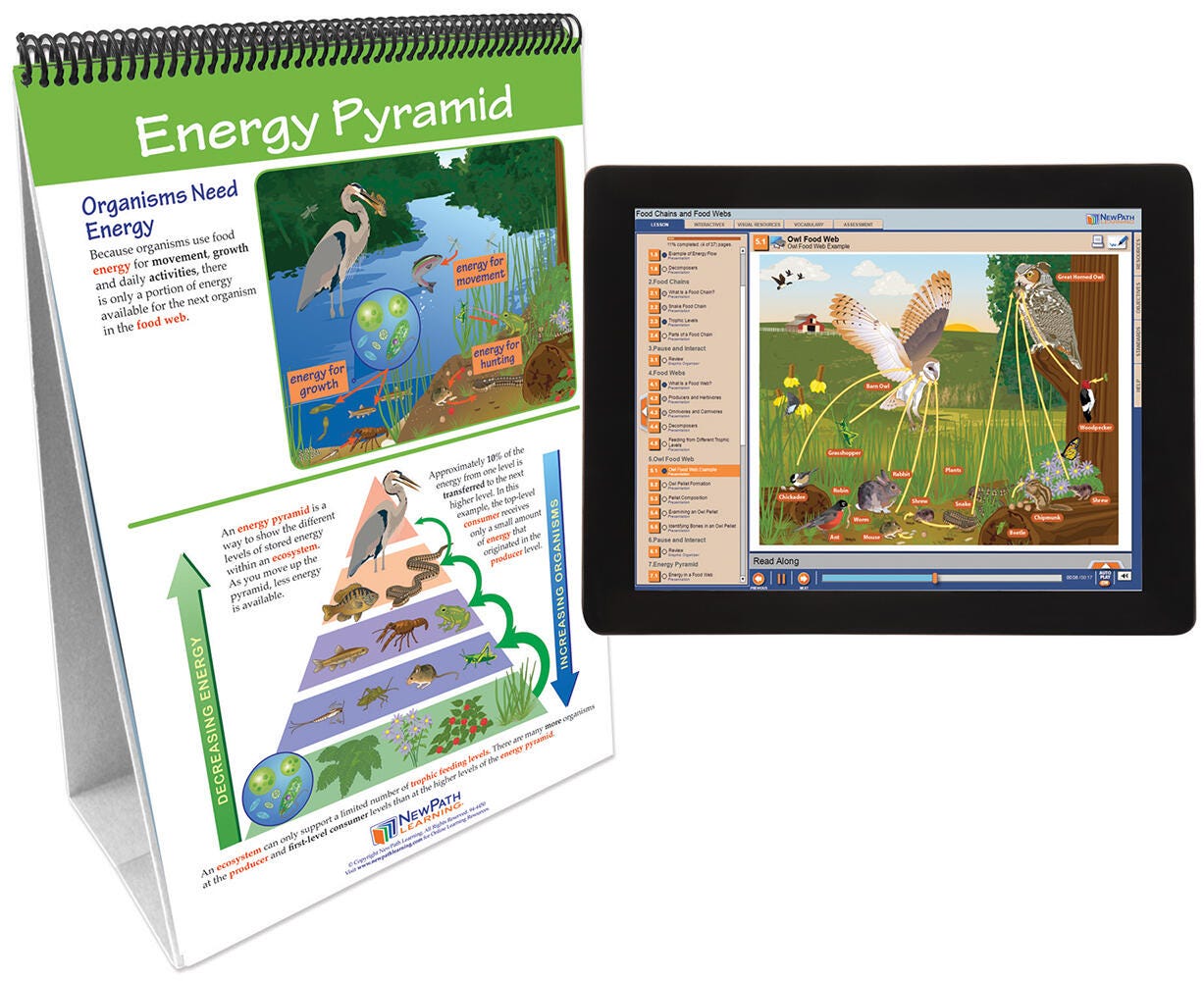 FLIP CHART + ONLINE FOOD CHAINS + FOOD WEBS MS/HS