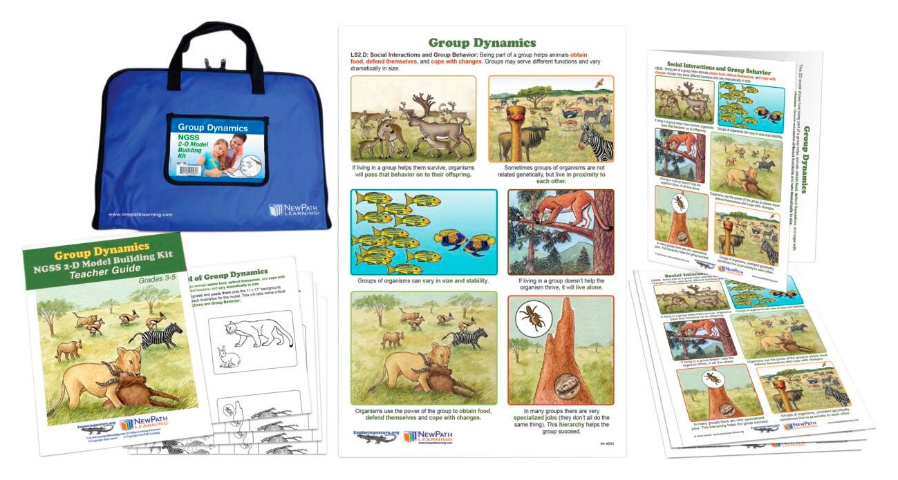 KIT GROUP DYNAMICS NGSS 2D MODEL BUILDING