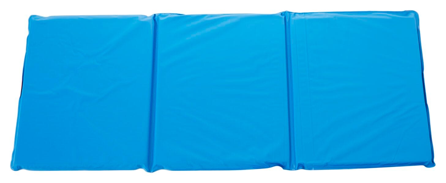 CHILDCRAFT PREMIUM REST MAT 3 FOLD - 3/4 INCH - RED AND BLUE