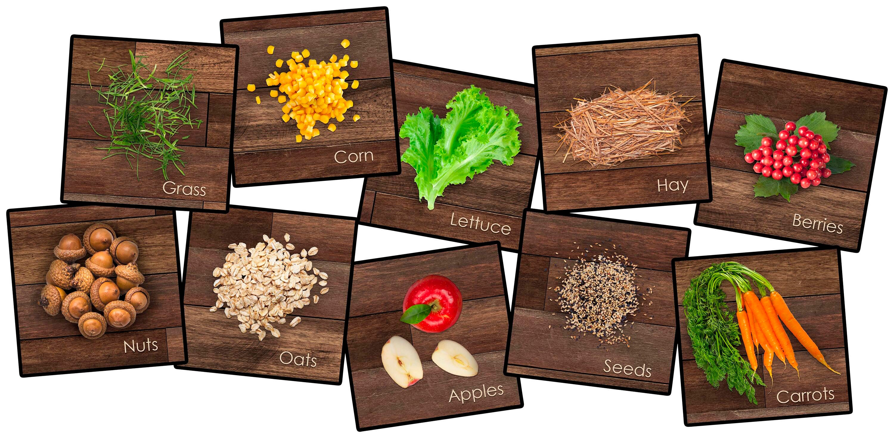 CHILDCRAFT FARM FRIENDS SEATING SQUARES - 16 IN X 16 IN - SET OF 10