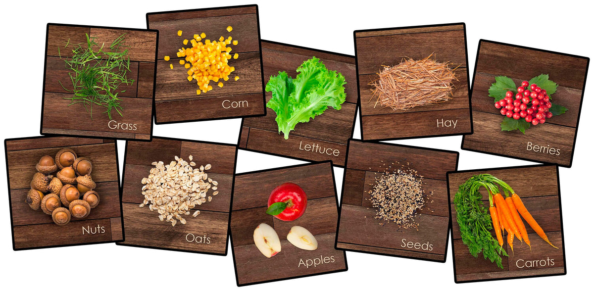 CHILDCRAFT FARM FRIENDS SEATING SQUARES - 16 IN X 16 IN - SET OF 10