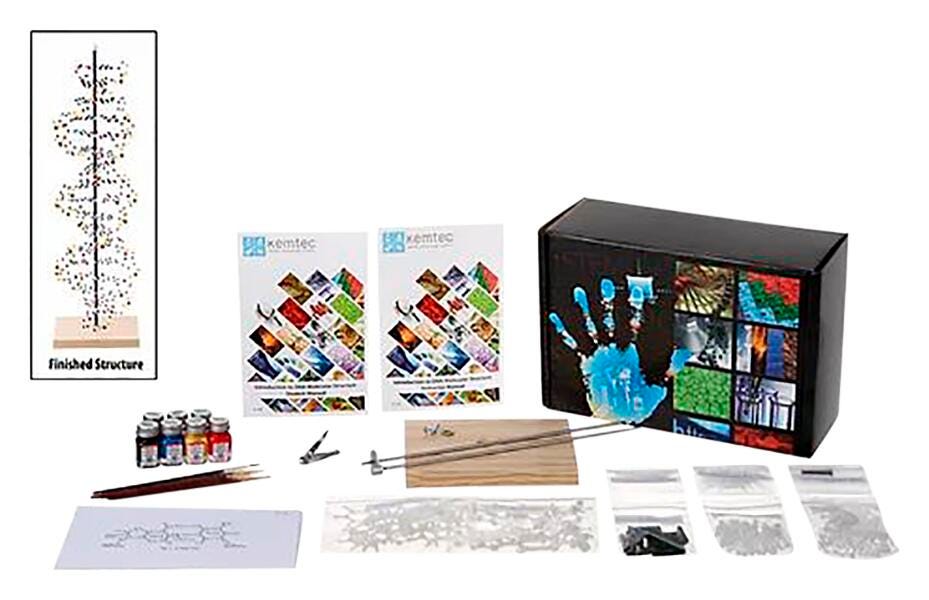 DNA MODEL WITH PAINT