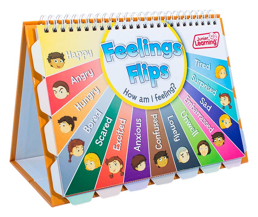 FEELINGS FLIPS CHART
