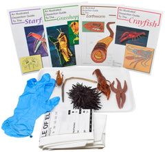 BASIC ZOOLOGY SET KIT W/O DISSECTION TOOLS