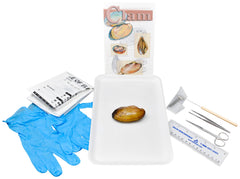 FRESH WATER CLAM W/ DISSECTION TOOLS