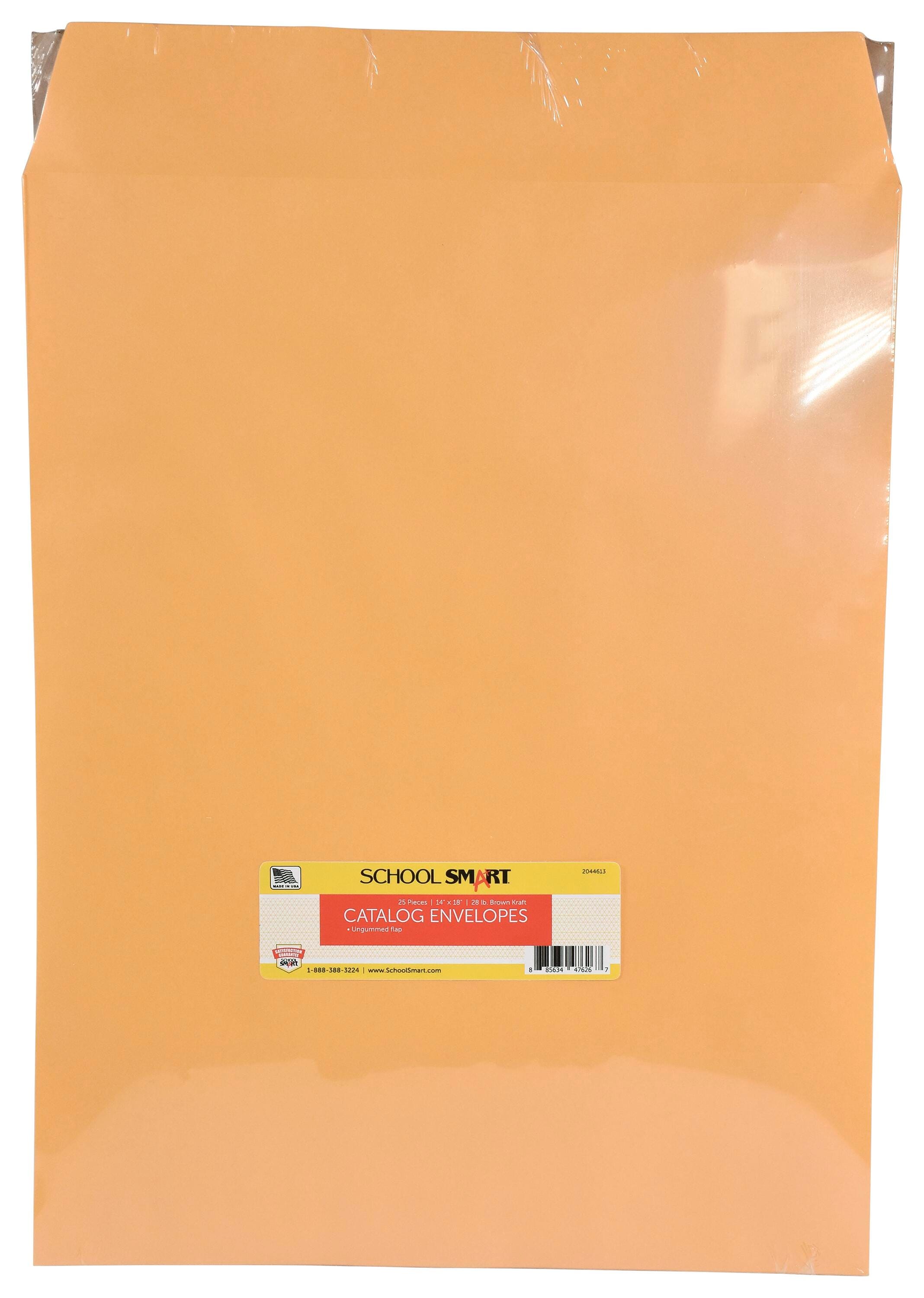 ENVELOPE CATALOG 14X18 IN KRAFT 28 LB SCHOOL SMART PK OF 25