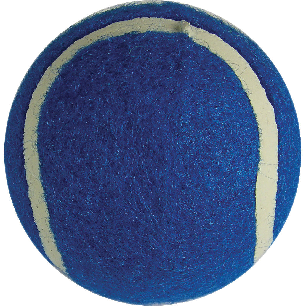 Play Tennis Balls Team Colours Pk12