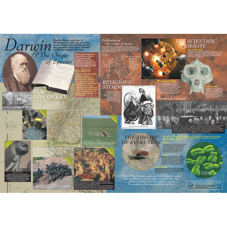 Darwin -Origin Of Species Poster