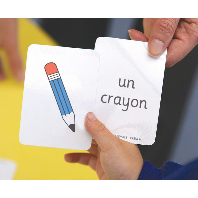 Classroom Snap - French