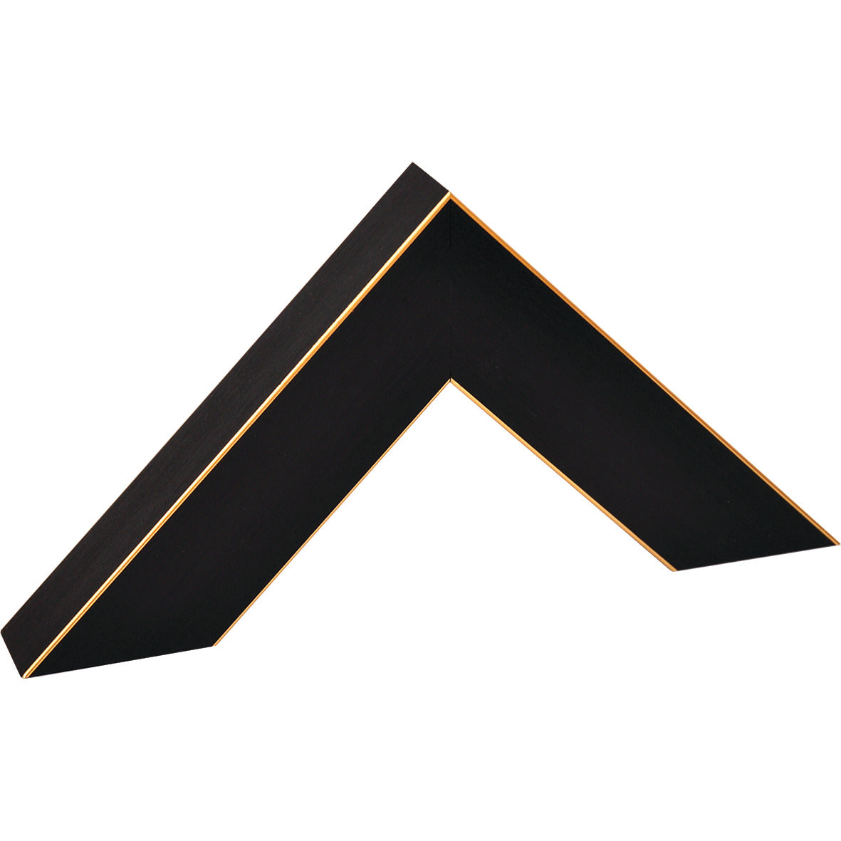 A3 Picture Frame Gold Line