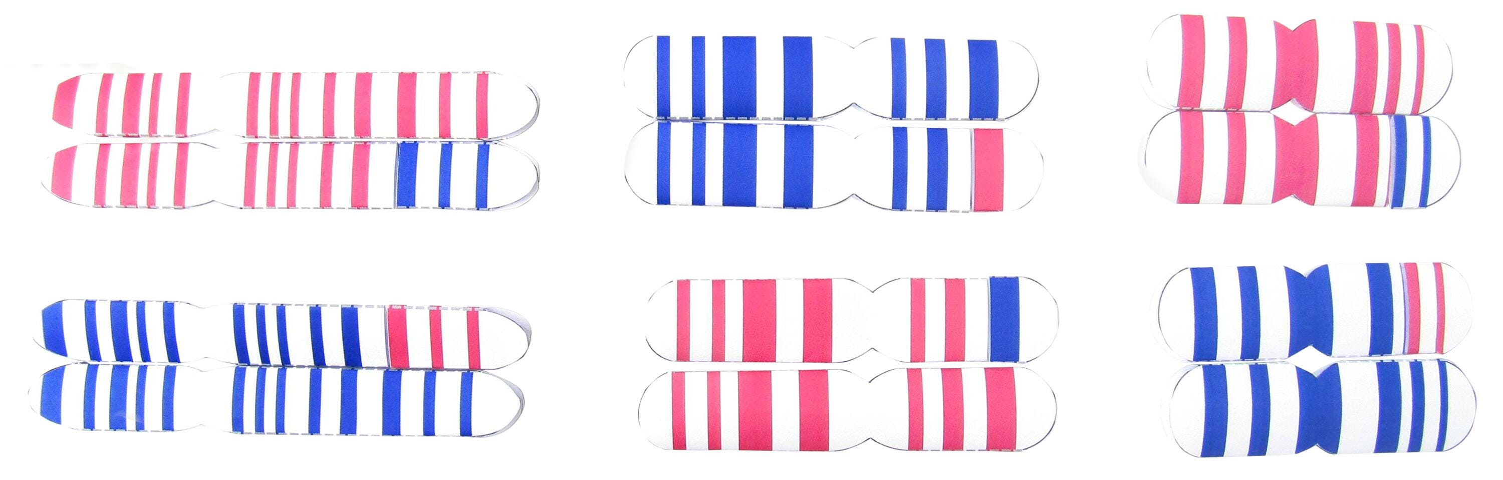 MITOSIS AND MEIOSIS 3-D MODEL KIT