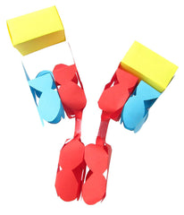 ANTIBODIES 3-D MODEL KIT