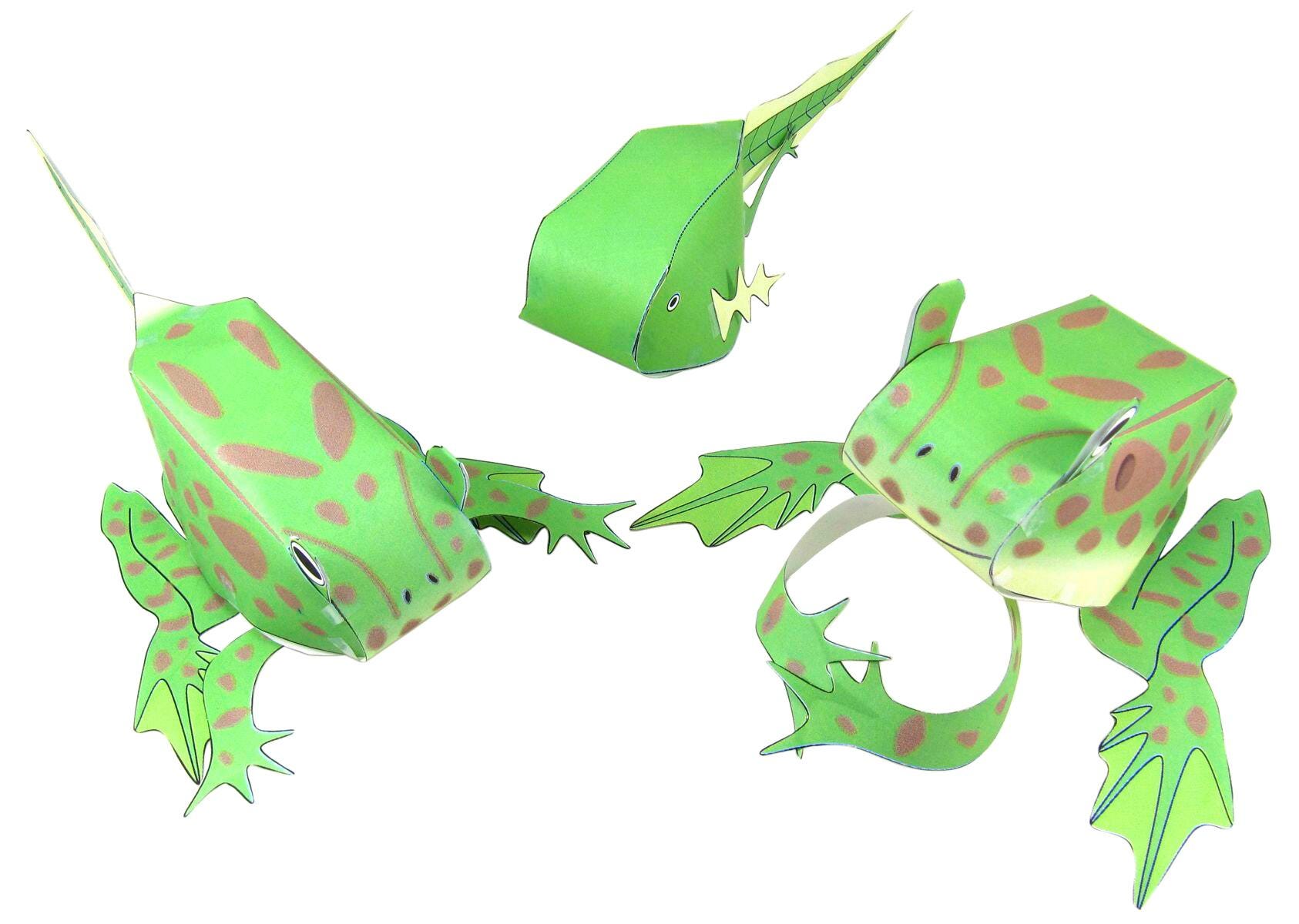 FROG LIFE CYCLE 3-D MODEL KIT