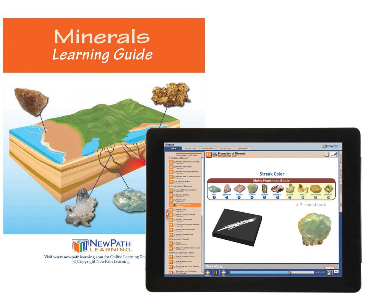 ALL ABOUT MINERALS GUIDE W/ ONLINE