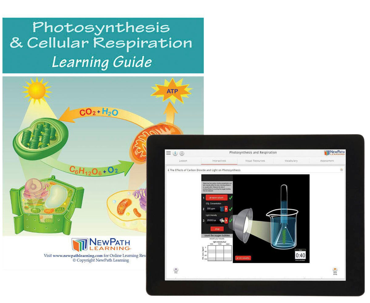 PHOTOSYNTHESIS AND RESPIRATION GUIDE W/ ONLINE