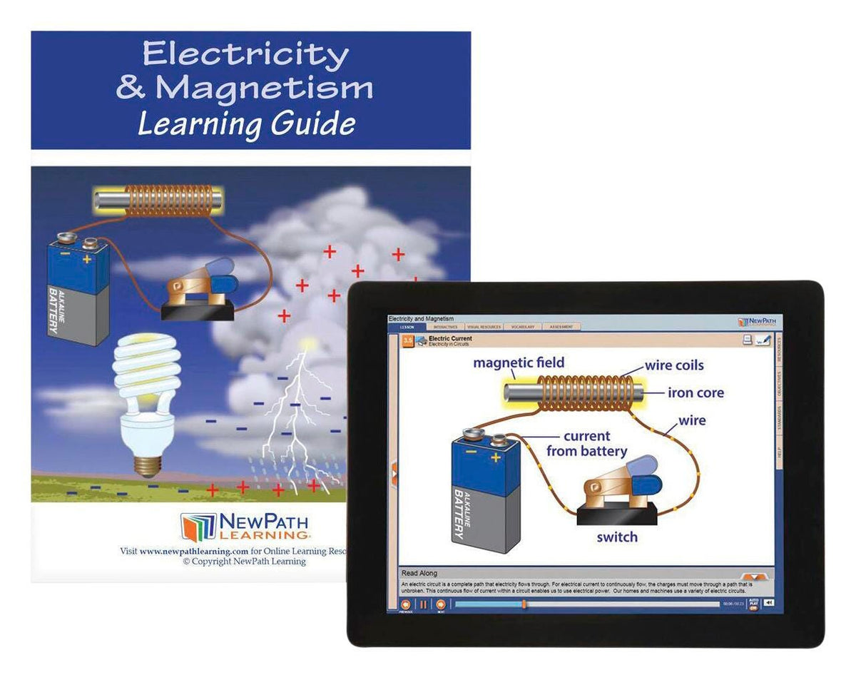 ELECTRICITY AND MAGNETISM GUIDE W/ ONLINE