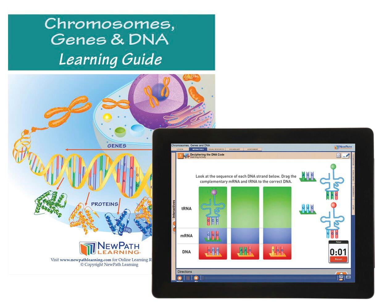 CHROMOSOMES GENES AND DNA GUIDE W/ ONLINE