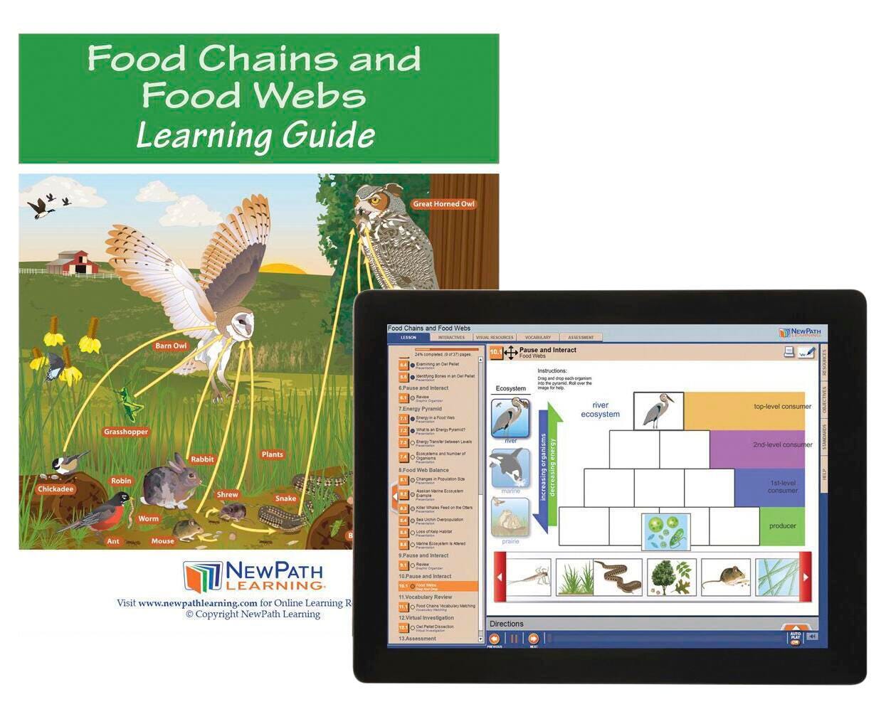 FOOD CHAINS AND FOOD WEBS GUIDE W/ ONLINE