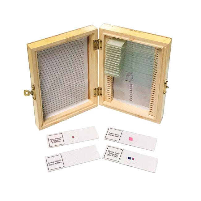 BIOLOGY PREPARED SLIDE SET OF 20