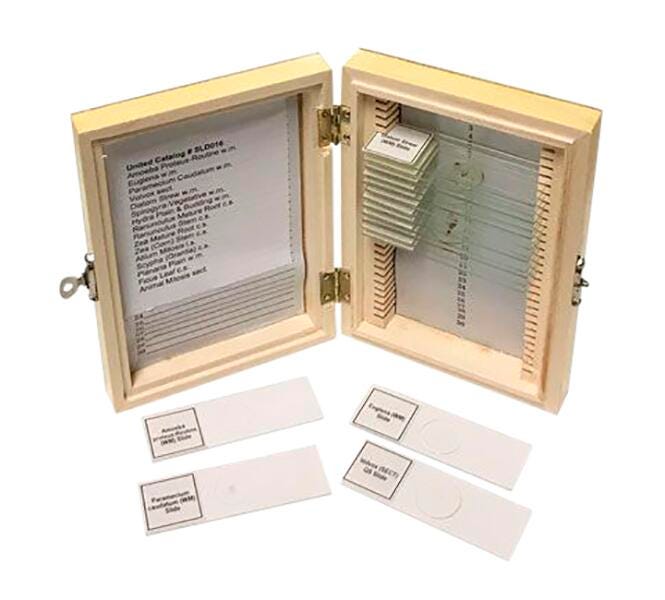 BIOLOGY PREPARED SLIDE SET OF 16