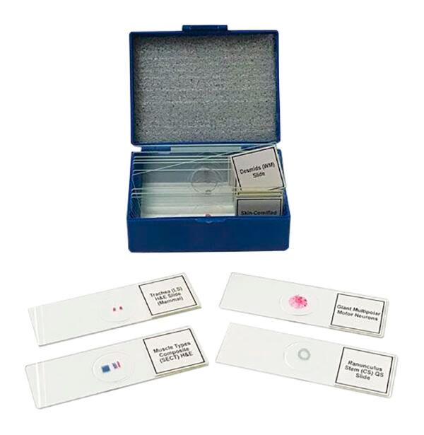 BIOLOGY PREPARED SLIDE SET OF 14