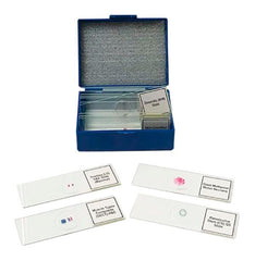 BIOLOGY PREPARED SLIDE SET OF 14