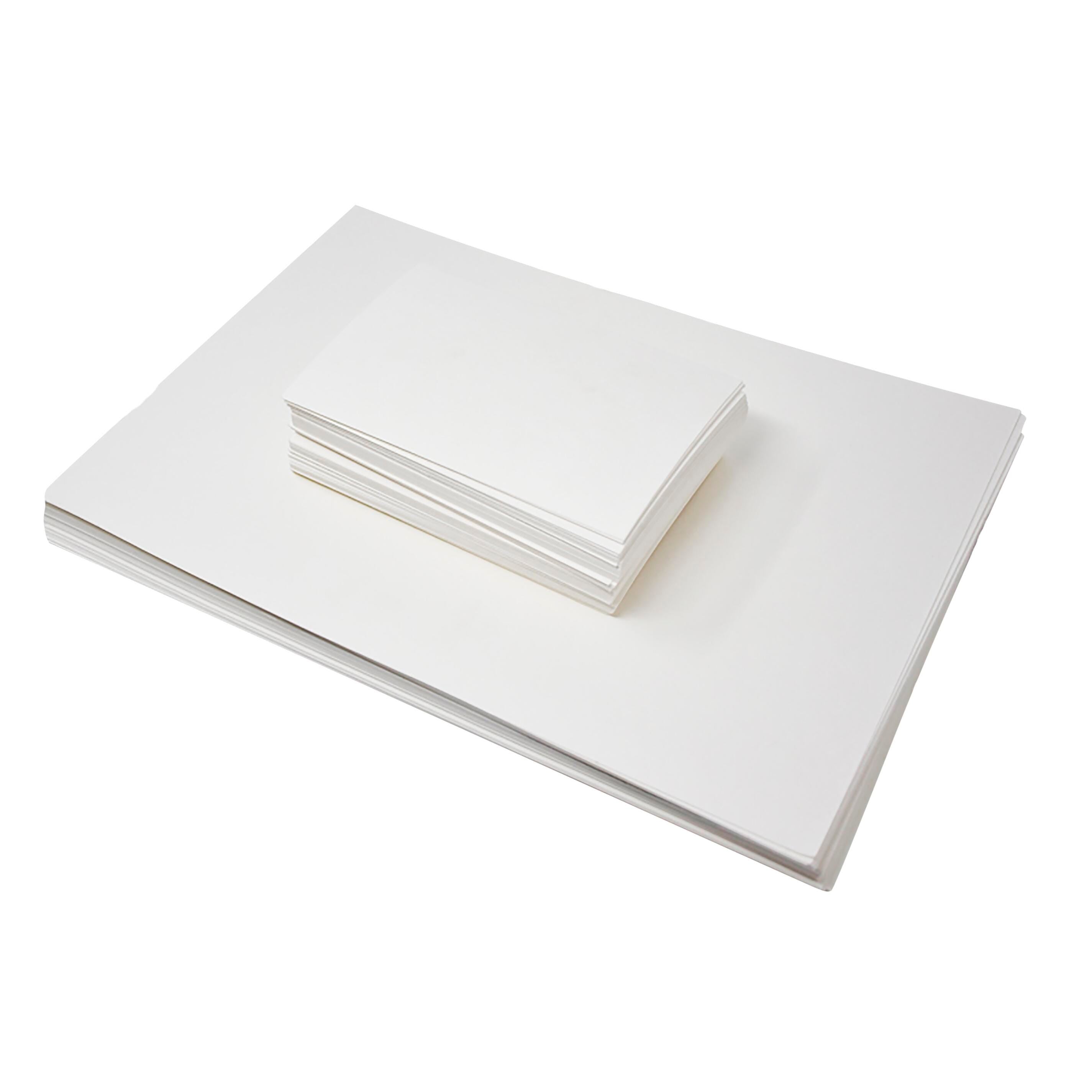PLANT PRESS INDEX CARD 3 X 5 IN.