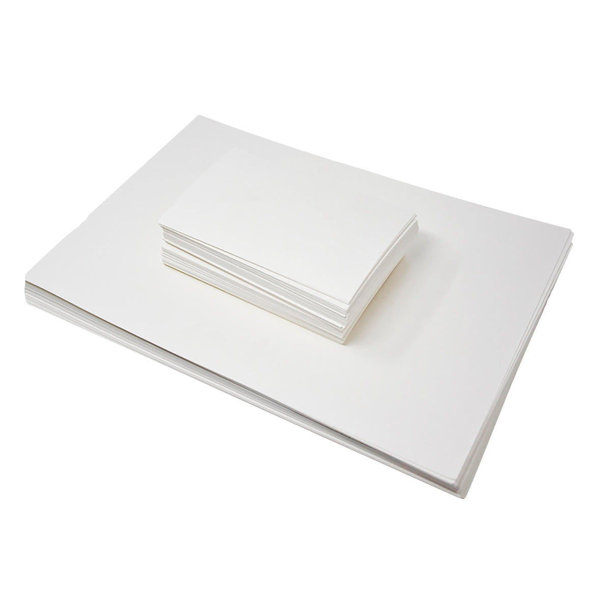 PLANT PRESS INDEX CARD 3 X 5 IN.